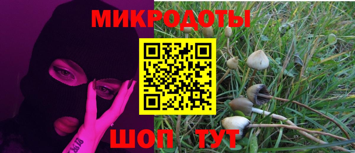 Псилоцибиновые грибы прущие грибы Десногорск
