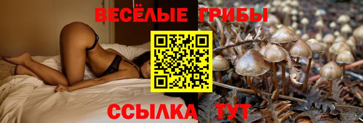Псилоцибиновые грибы прущие грибы  Вход с VPN  Десногорск  Галлюциногенные грибы прущие грибы 